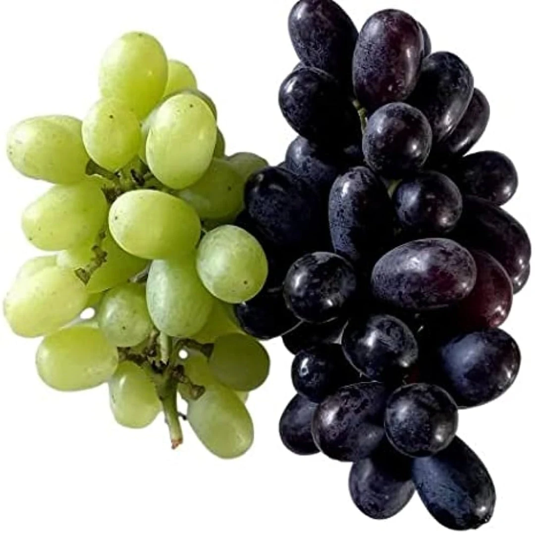 Grapes Variety Pack Of 2 Combo 3 Grapes Variety Pack Of 2 Combo - Image 3