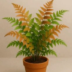 Autumn Fern Hanging Basket (Live Indoor/Outdoor Plant) 8 Autumn Fern Hanging Basket (Live Indoor/Outdoor Plant) -Pixies Gardens ChatGPTImageMay17 2025 03 16 25PM