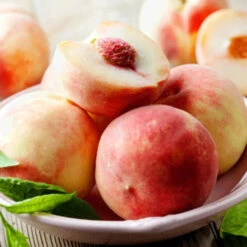 Florida King Peach Tree -Pixies Gardens Florida King Peach Tree 450 D1 large 5f579ed1 9a76 4d2d b54c 8fae3fd480d0