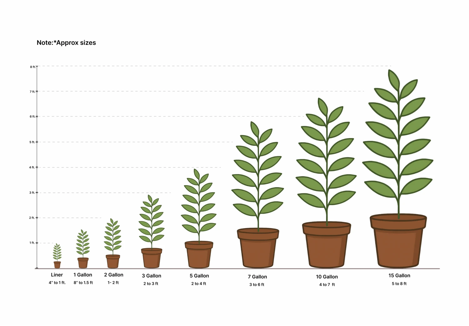 Gulf King Peach 6 Gulf King Peach - Image 6