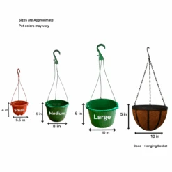 Golden Pothos Hanging Baskets (Live Indoor Plants) -Pixies Gardens Group1686556136 07e157ae 8c0a 44de 9a78 9fc62958a19a