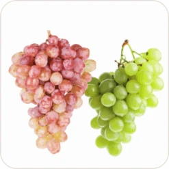 Grapes Variety Pack Of 2 Combo 9 Grapes Variety Pack Of 2 Combo -Pixies Gardens Red globe grapes combo
