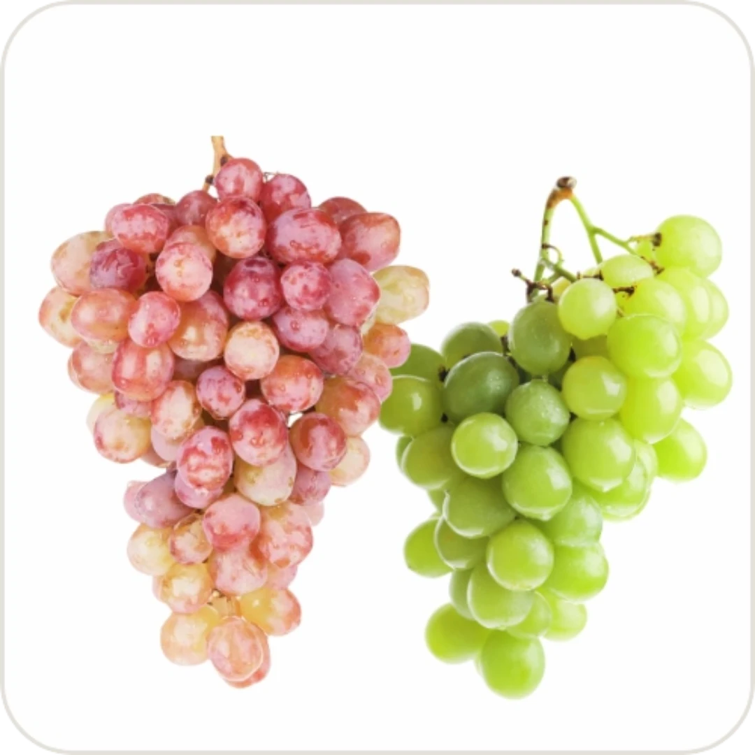 Grapes Variety Pack Of 2 Combo 4 Grapes Variety Pack Of 2 Combo - Image 4