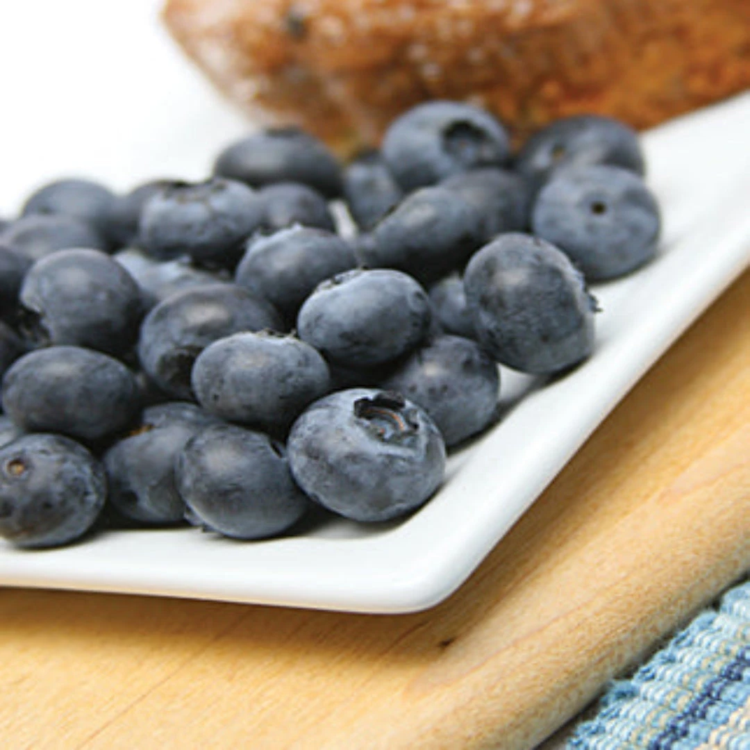 Reka Blueberry Bush 5 Reka Blueberry Bush - Image 5